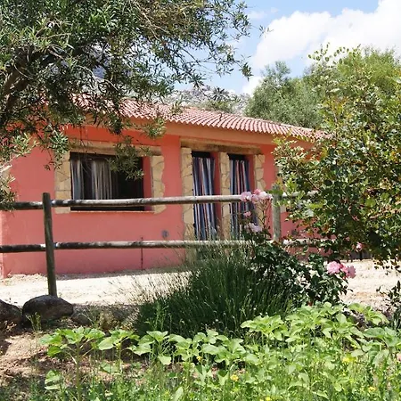 Refugio Del Alamut Penzion Valle de Abdalagís